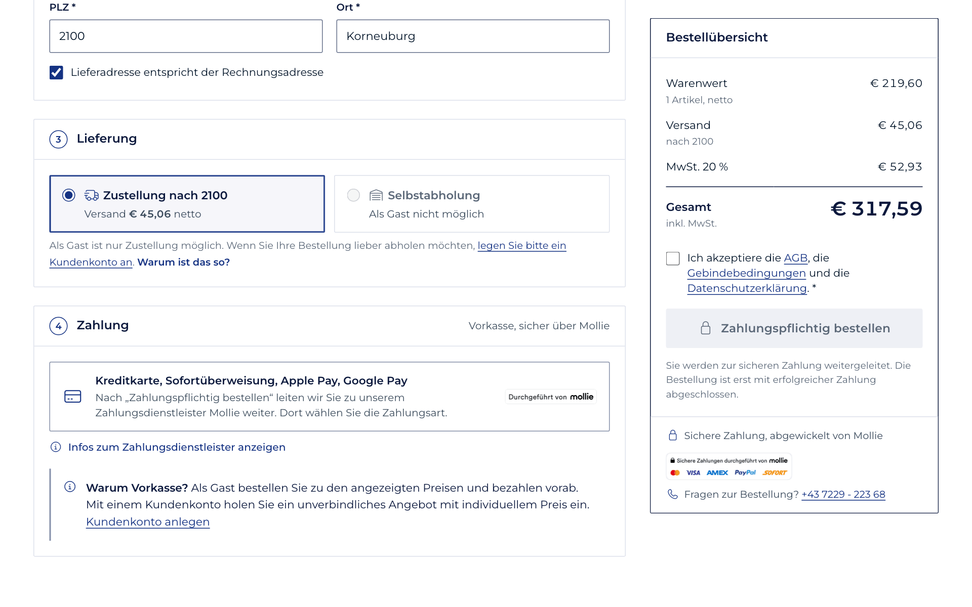 Schritt 11: Lieferung & Zahlung