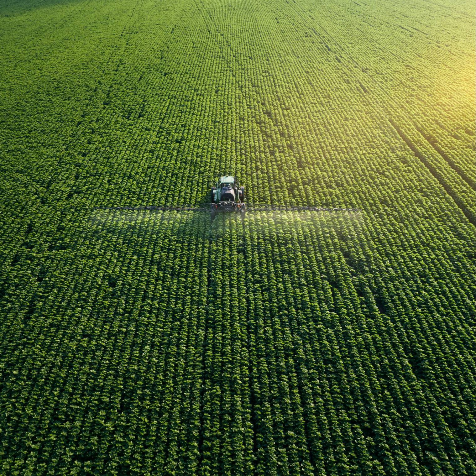 AGRAR / Landwirtschaft / Forstwirtschaft | wifra.at